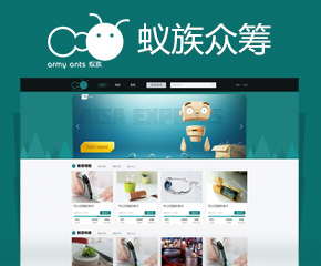 蟻?zhàn)灞娀I網(wǎng)站開(kāi)發(fā)案例